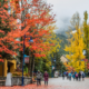 whistler-village-stroll-fall-colored-leaves-red-orange-yellow-autumn