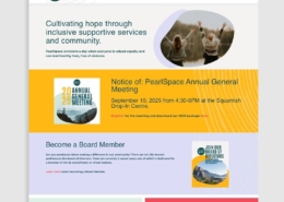 PearlSpace website by Cloud9 Marketing